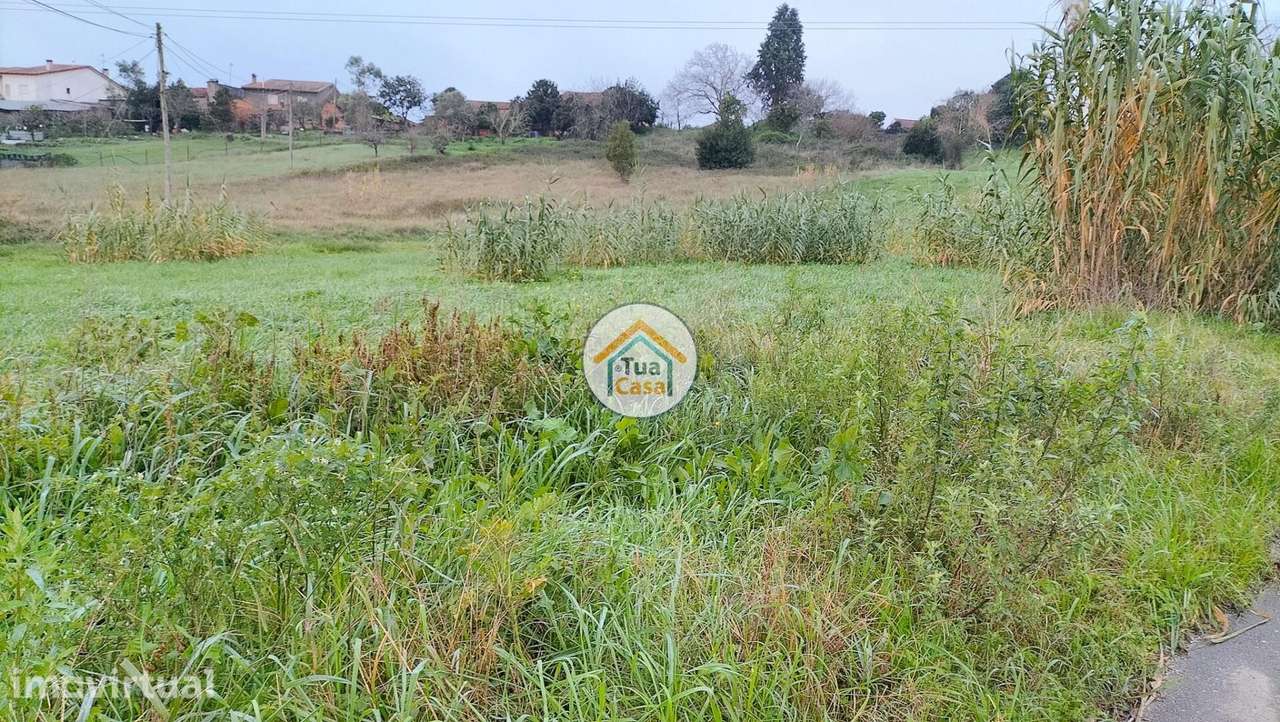 Terreno Rústico com Viabilidade de Construção - Grande imagem: 4/15