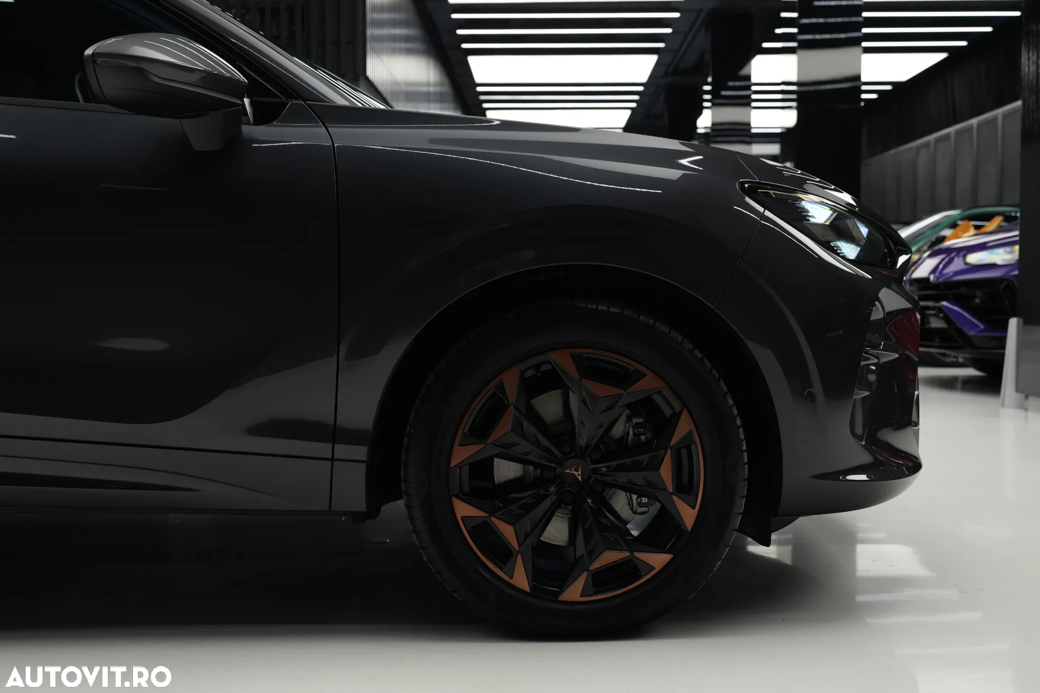 Cupra Terramar - 33