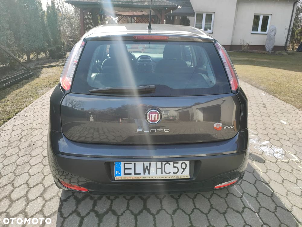 Fiat Punto - 5