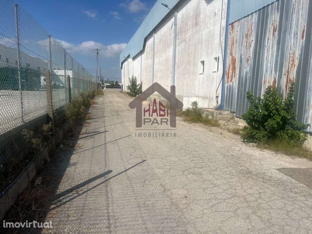 Excelente Armazém No Porto Alto - Grande imagem: 4/6