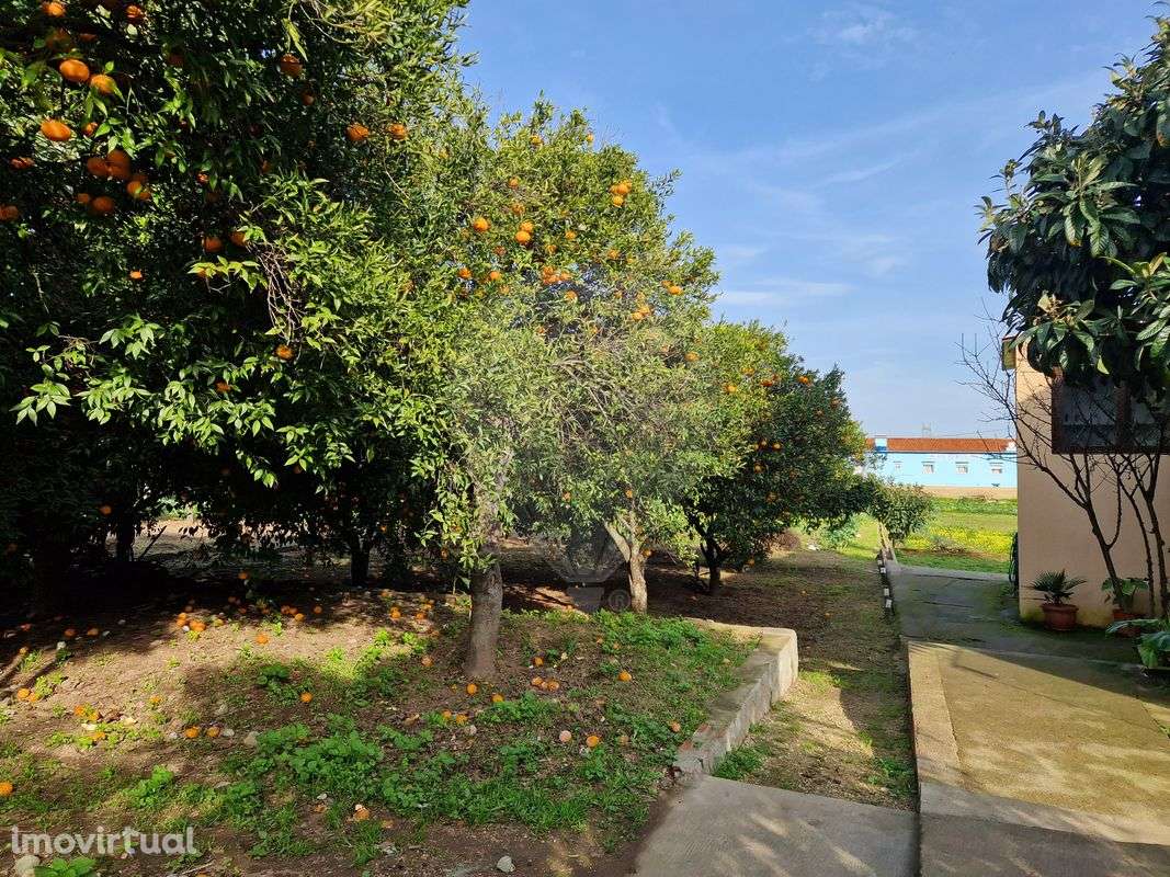 Terreno  para venda - Grande imagem: 5/18