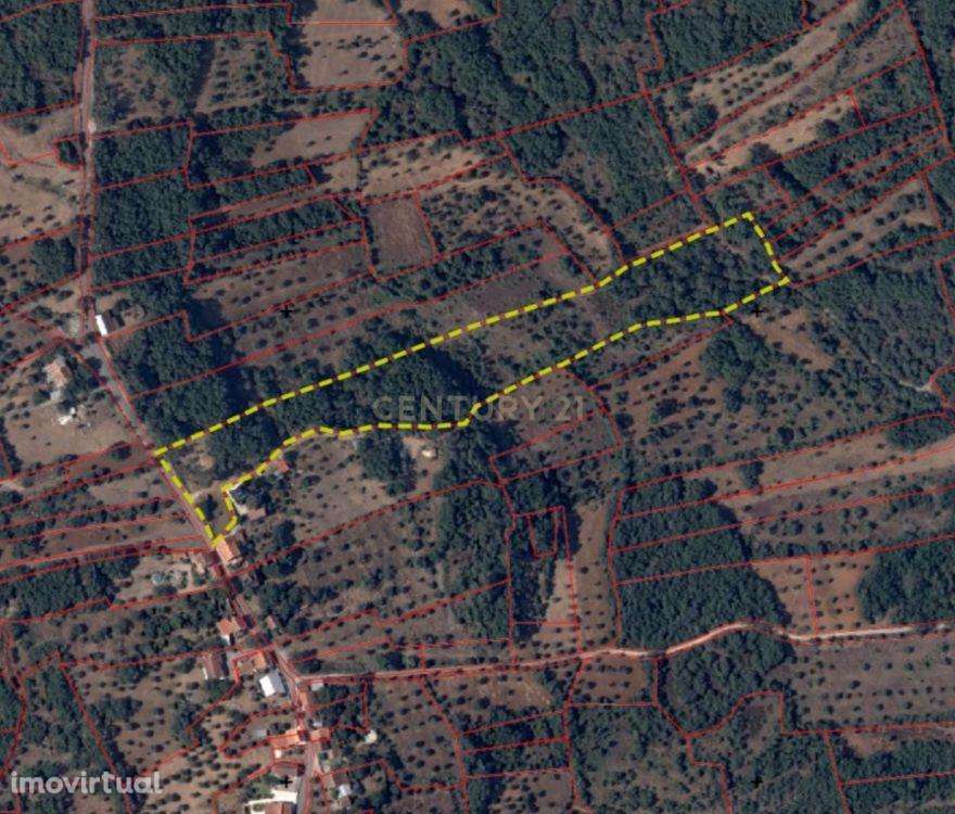 Terreno em Chãos, concelho de Ferreira do Zêzere, com Potencial de Con - Grande imagem: 3/8