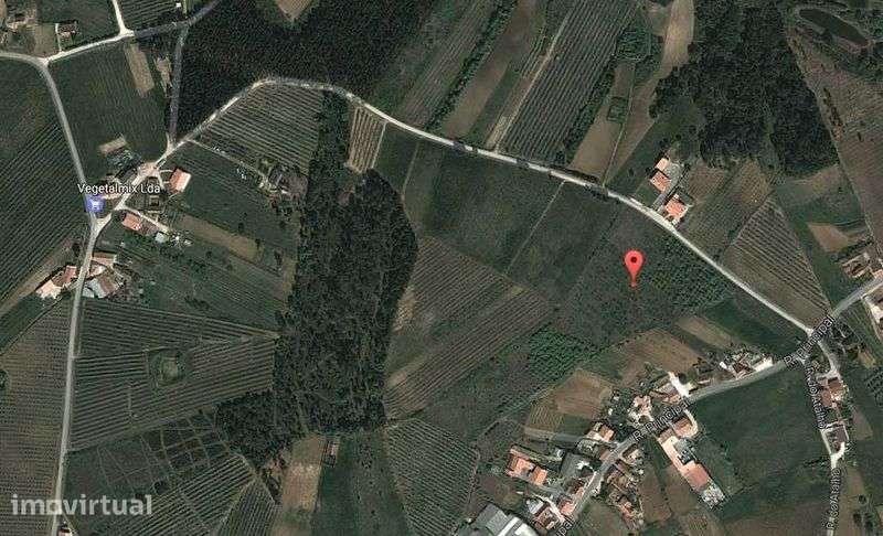 Terreno em Vimeiro Alcobaça, Nazaré - Grande imagem: 3/4