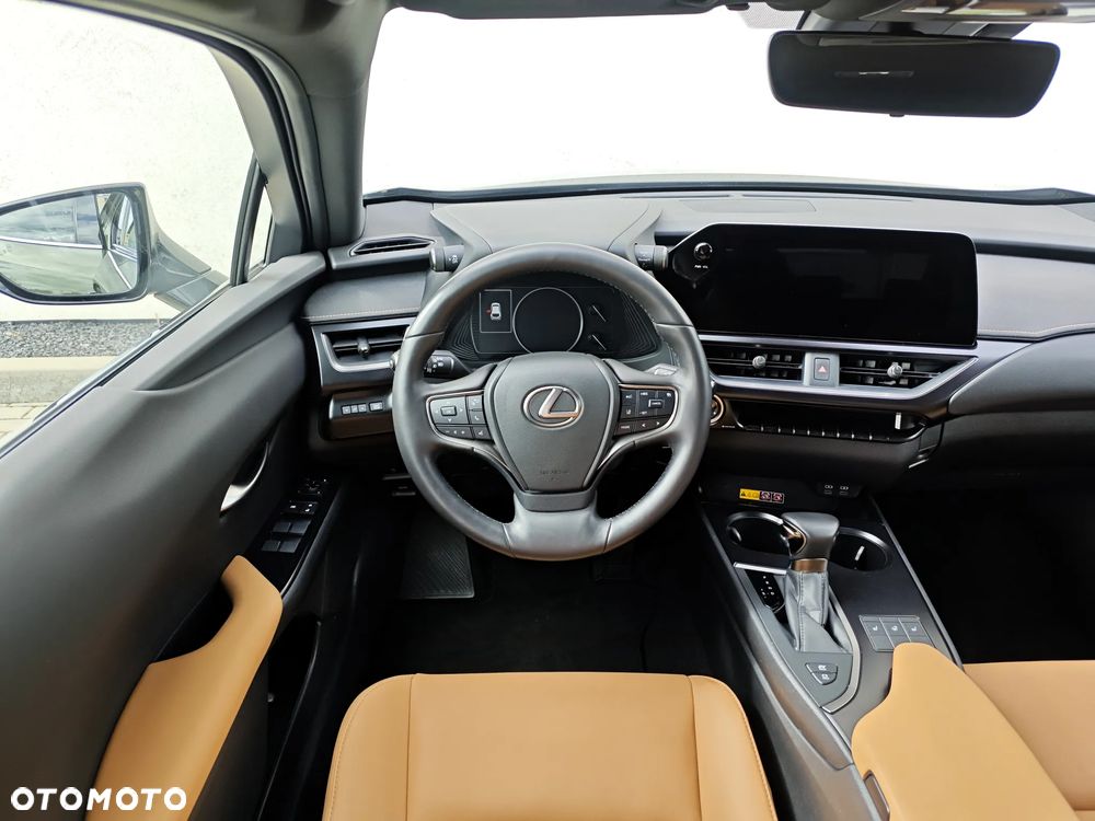 Lexus UX 250h GPF F Sport Design+ 2WD - 15