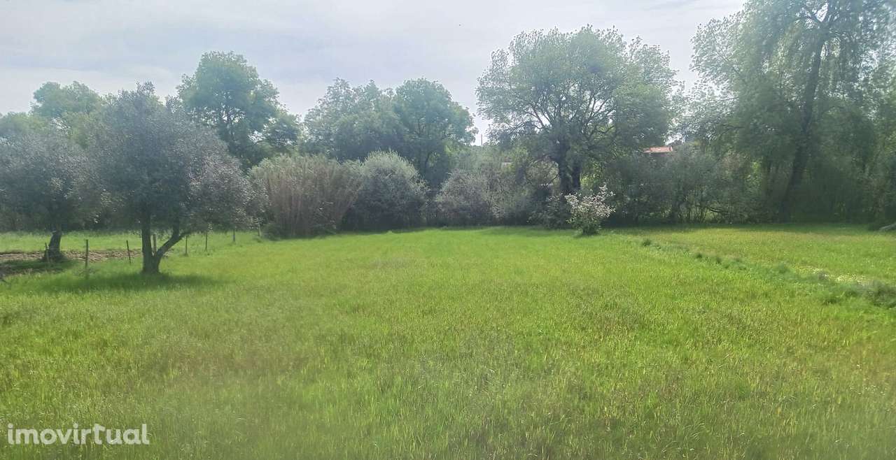 Terreno - Grande imagem: 2/8