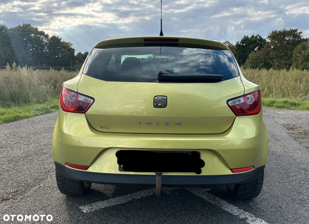 Seat Ibiza 2010 photo 5