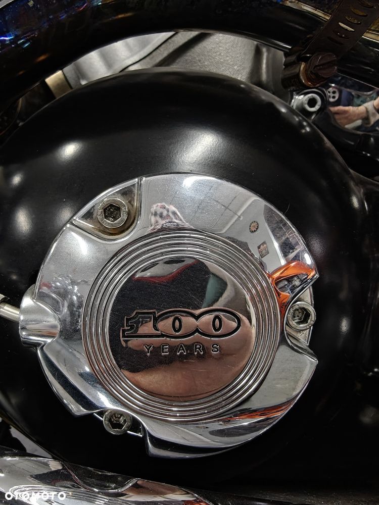 Harley-Davidson Softail V-Rod - 12