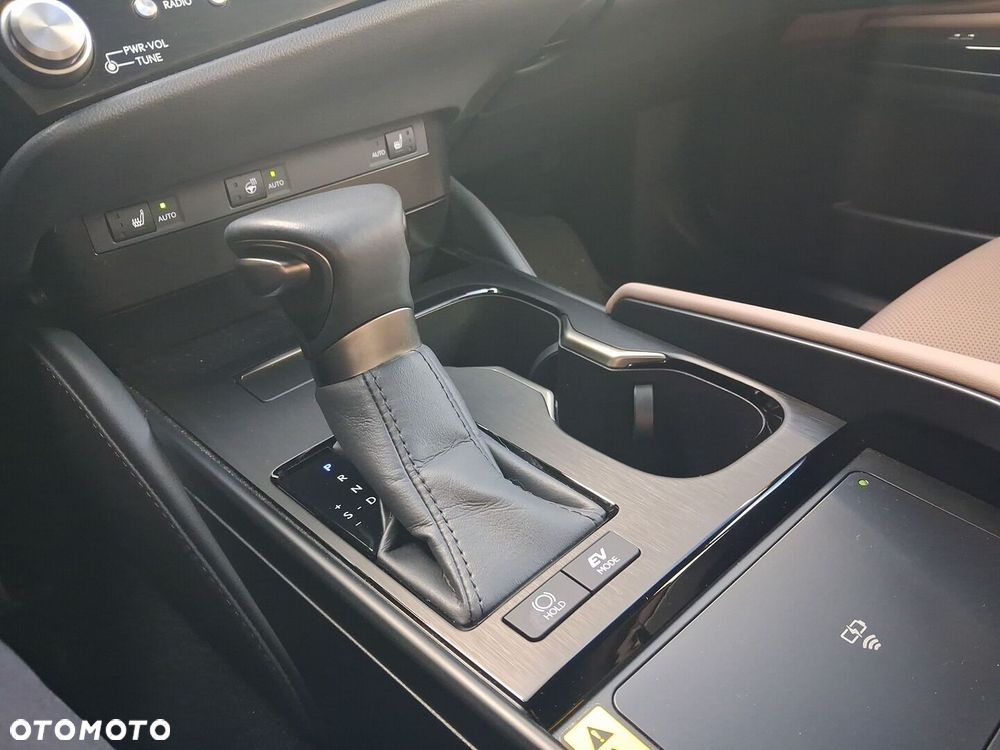 Lexus ES 300h F Sport Design - 13