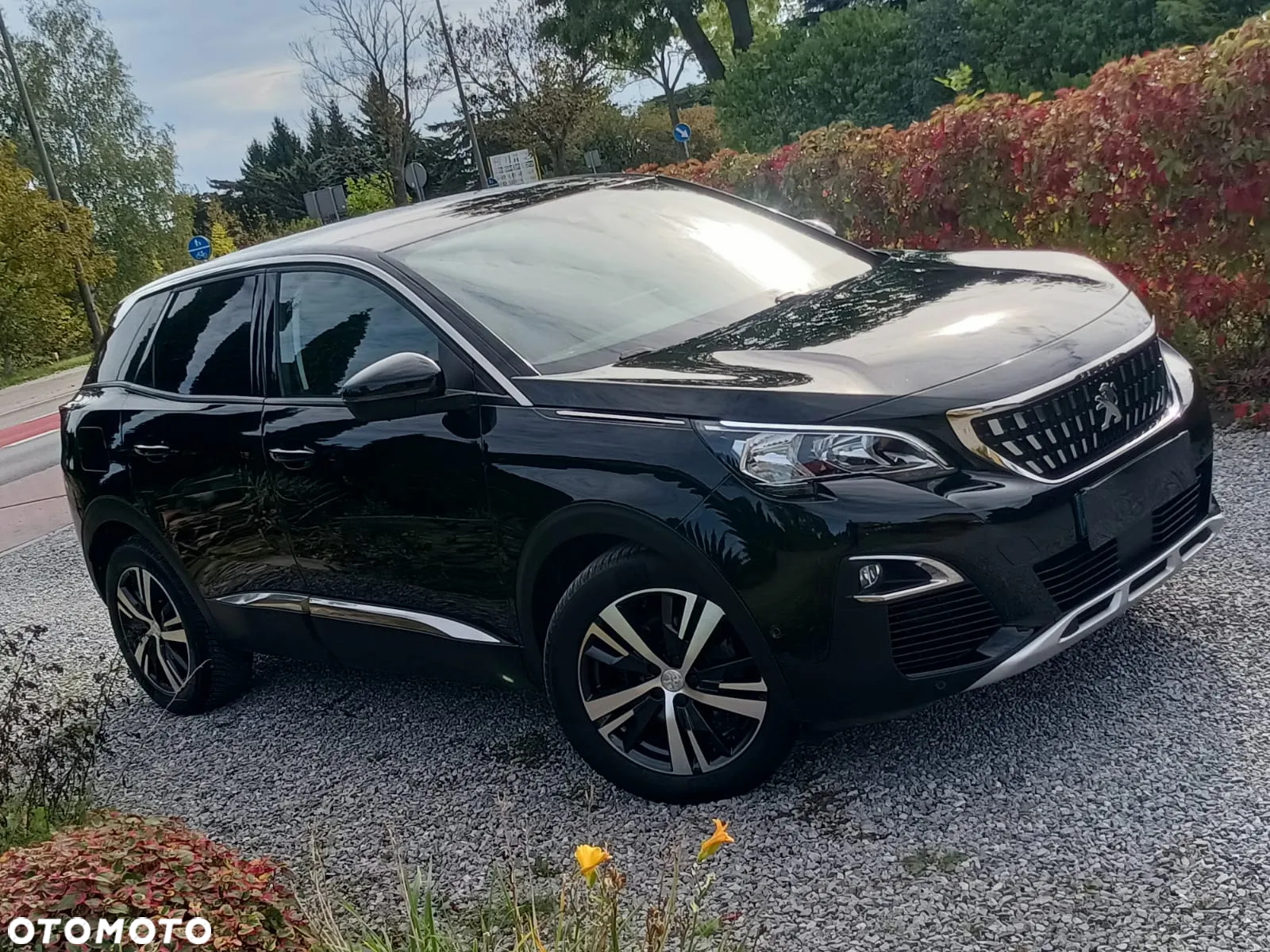 Peugeot 3008 1.6 BlueHDi Active S&S EAT6 - 5