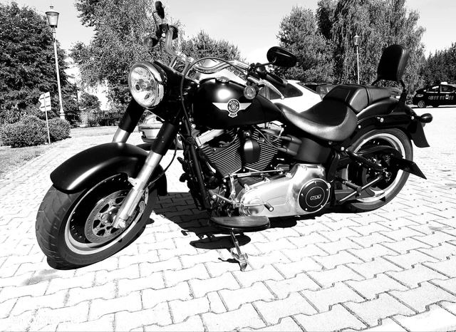 Harley-Davidson Softail Fat Boy - 3