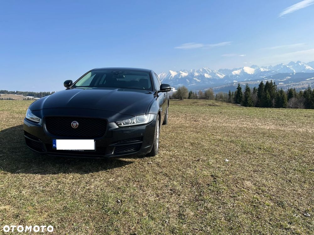 Jaguar XE 2.0 T Portfolio - 7