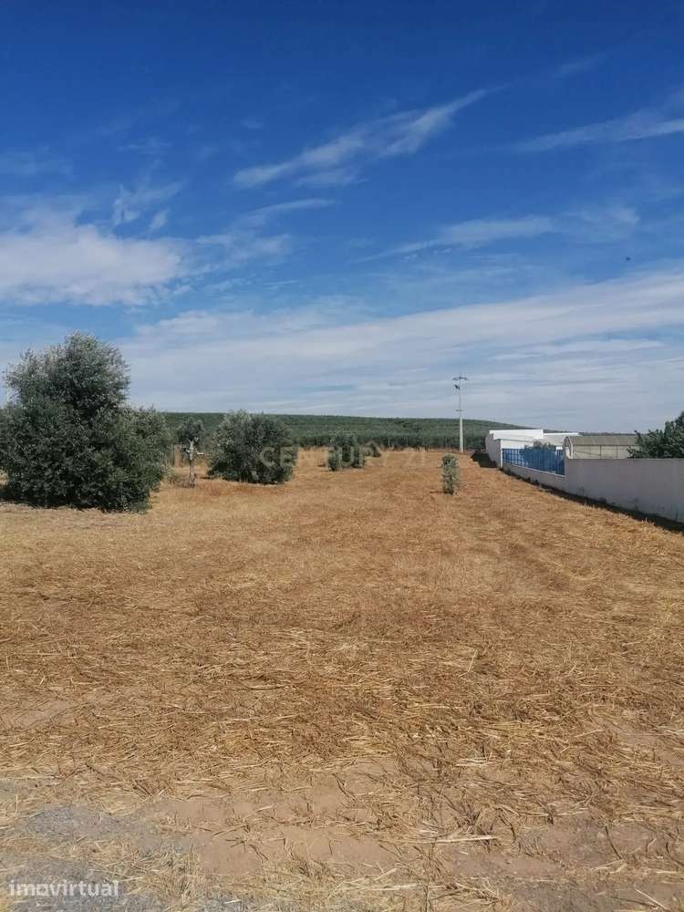Magnifico Terreno , 3250 m2, que pode ser a sua "QUINTA" no Monte Barr - Grande imagem: 3/7