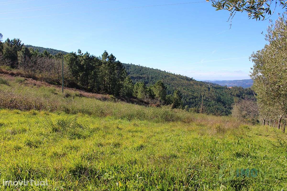 Imóvel Rural - Grande imagem: 4/21