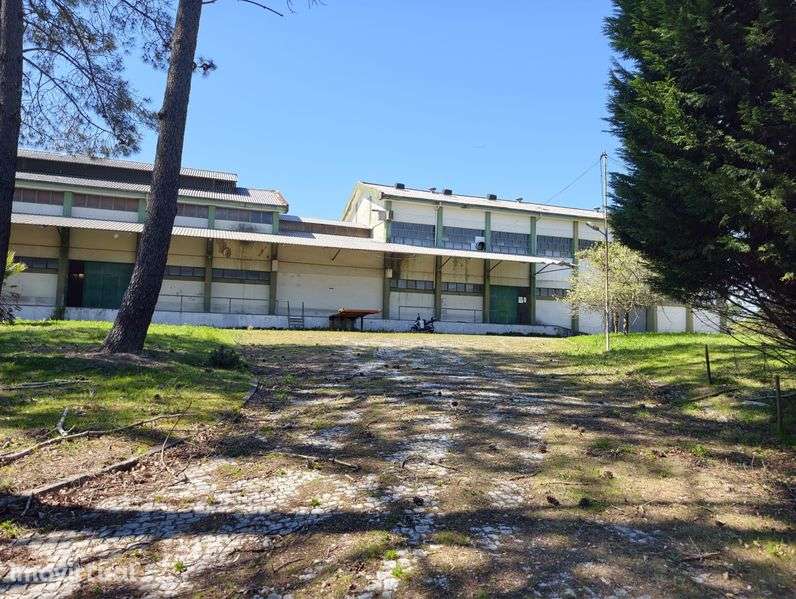 Armazem olival - liçenca industria - Grande imagem: 4/8