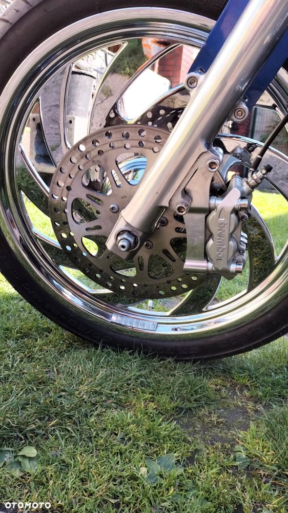 Harley-Davidson Sportster Custom 1200C - 10