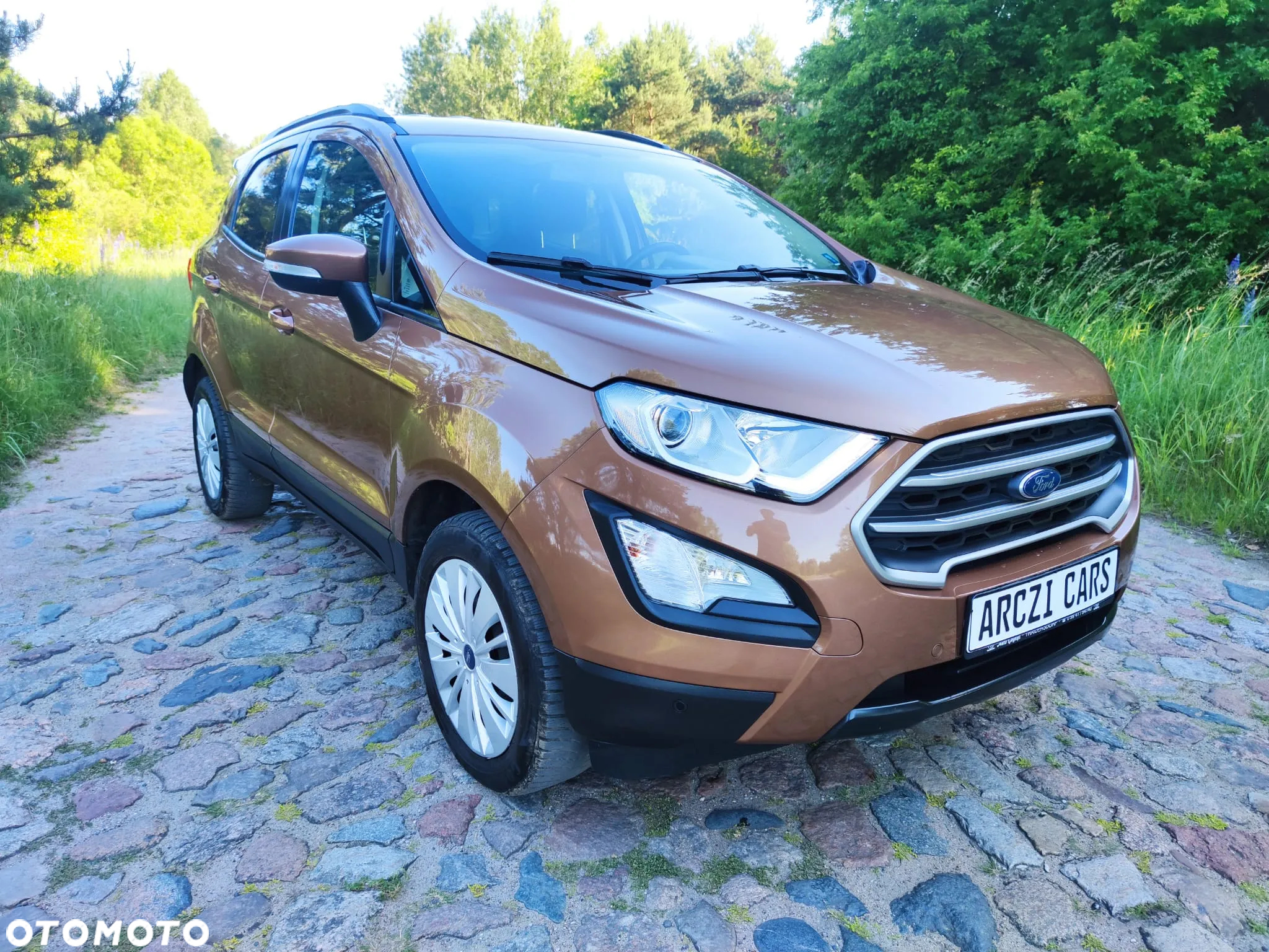 Ford EcoSport 1.0 EcoBoost - 10