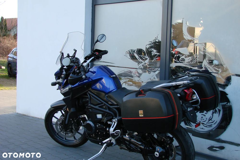 Triumph Tiger - 19