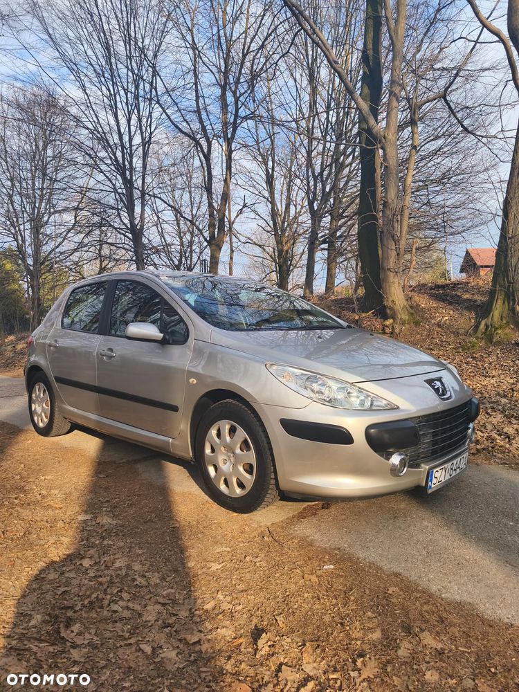 Peugeot 307 - 13