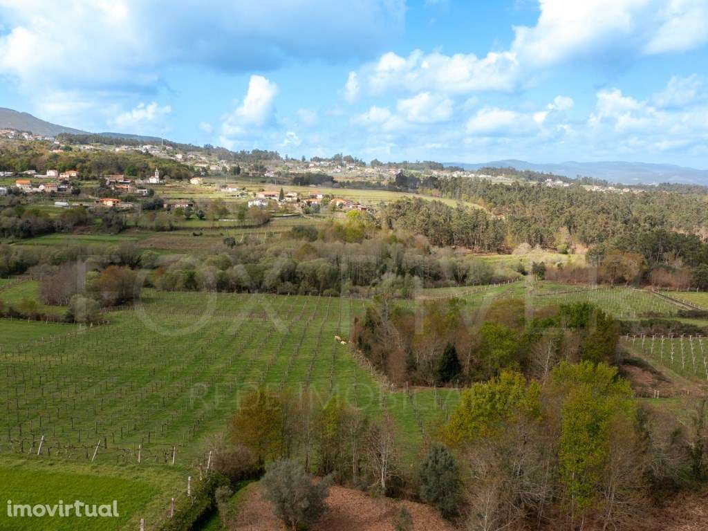 Terreno para construção em Fontoura, VALENÇA - Grande imagem: 4/9