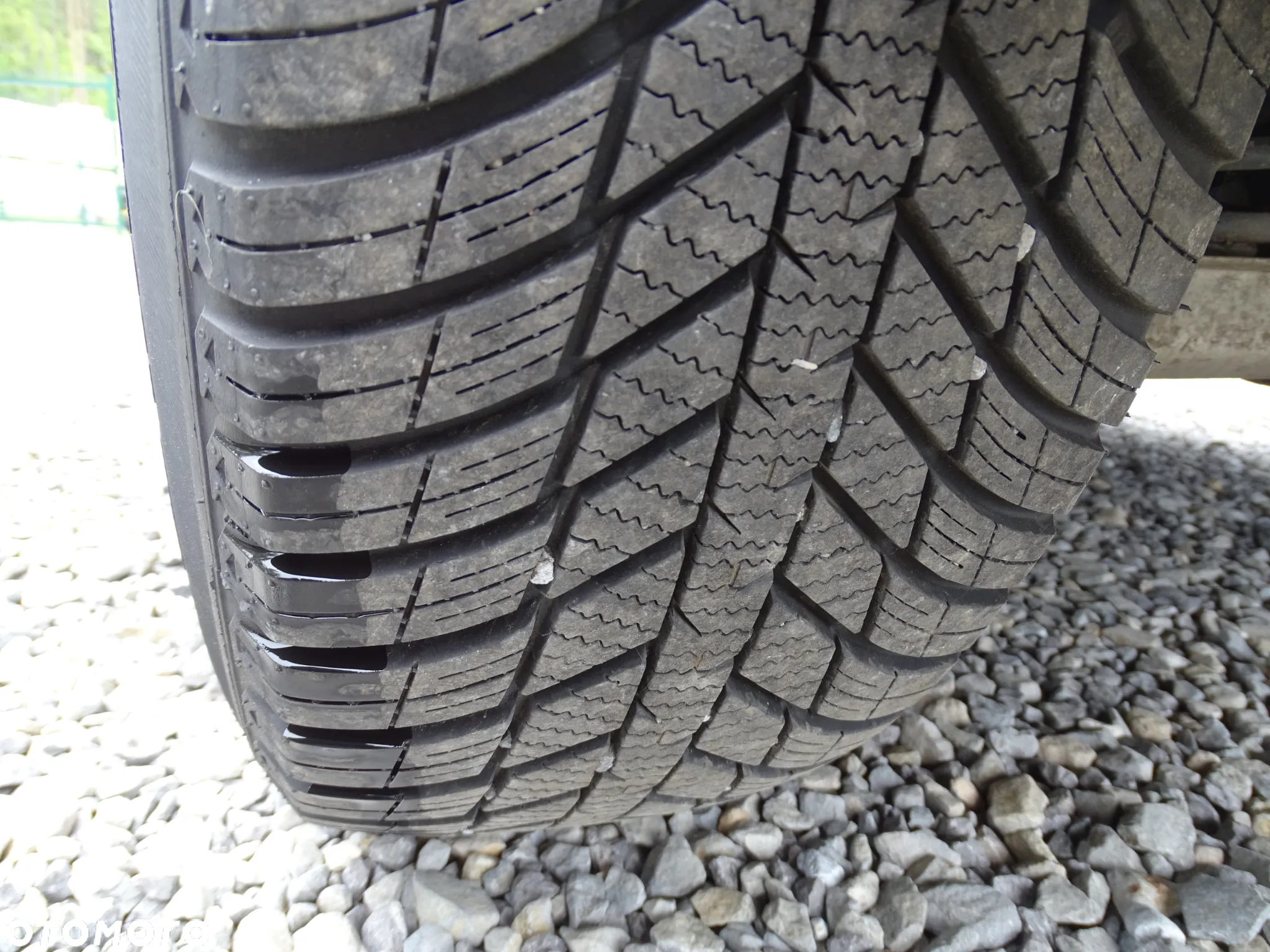 Ford Kuga 1.5 EcoBoost FWD Edition ASS MMT6 - 39