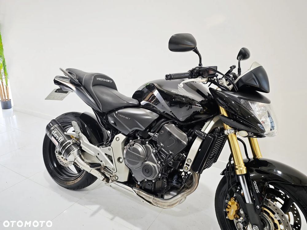 Honda Hornet - 7