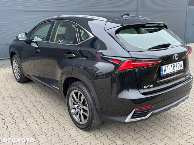 Lexus NX - 31