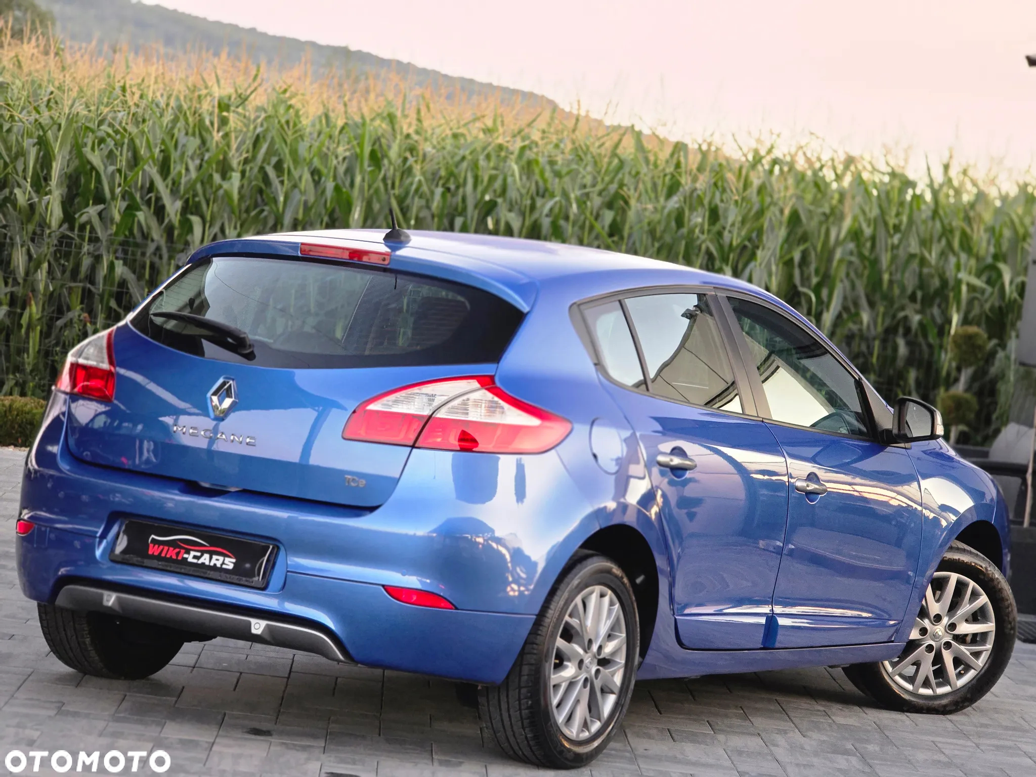 Renault Megane 1.2 16V TCe Energy Limited - 16