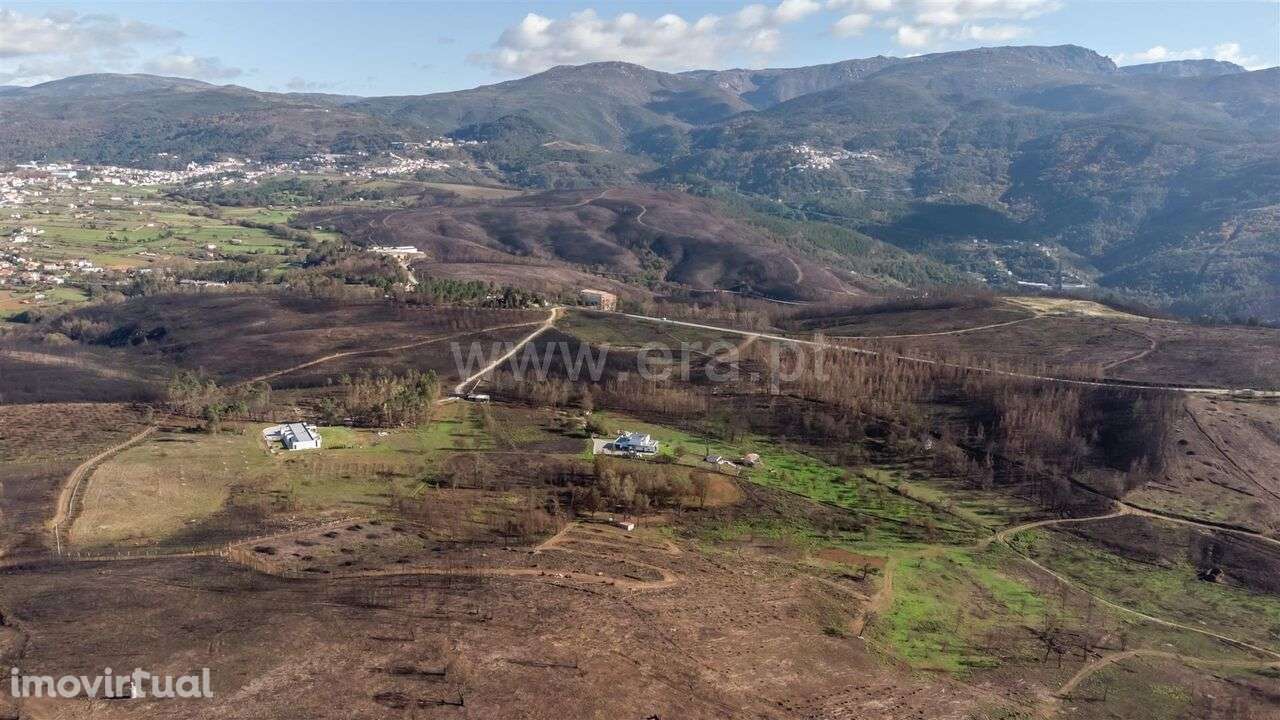 Terreno / Seia, Torrozelo e Folhadosa - Grande imagem: 5/17