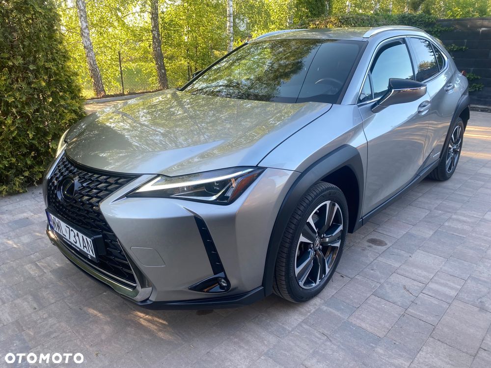 Lexus UX 250h GPF Business Edition 2WD - 16