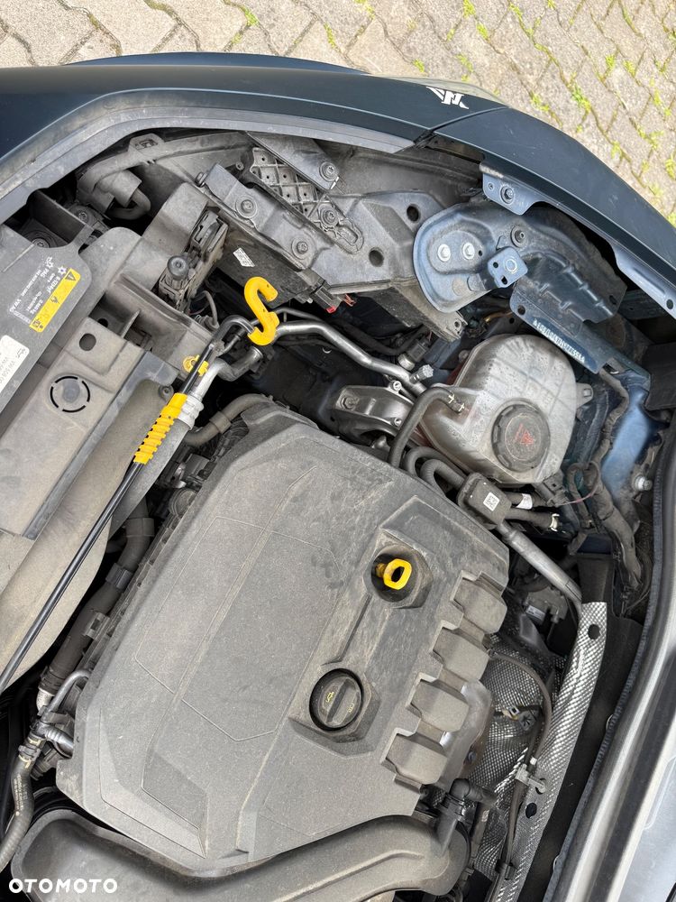 Cupra Formentor 1.5 TSI Tribe Edition - 30