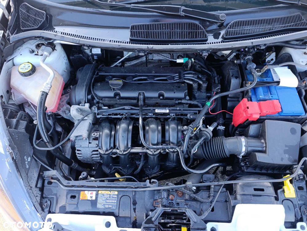 Ford Fiesta 1.25 Ambiente EU5 - 5