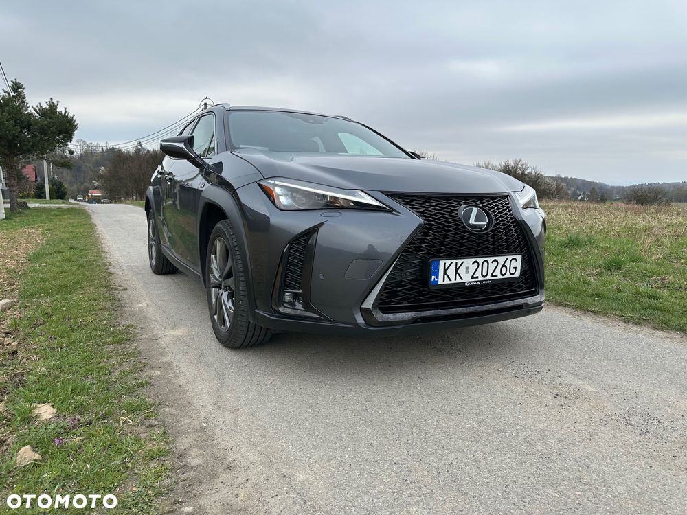 Lexus UX - 1