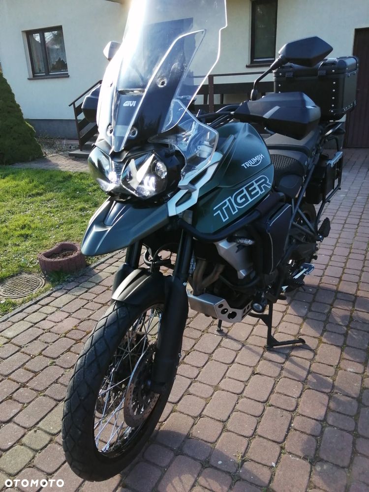 Triumph Tiger - 3