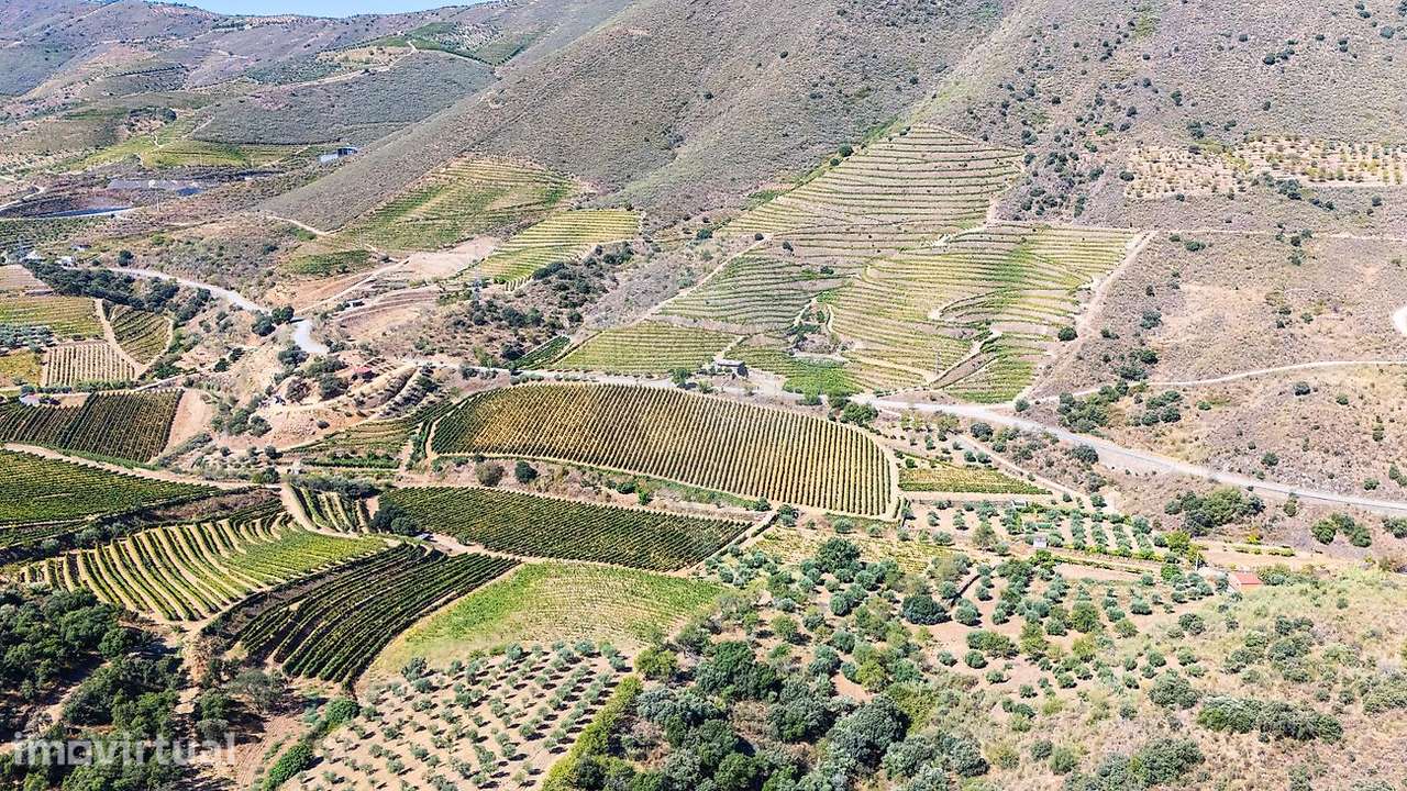Terreno  para venda - Grande imagem: 5/13