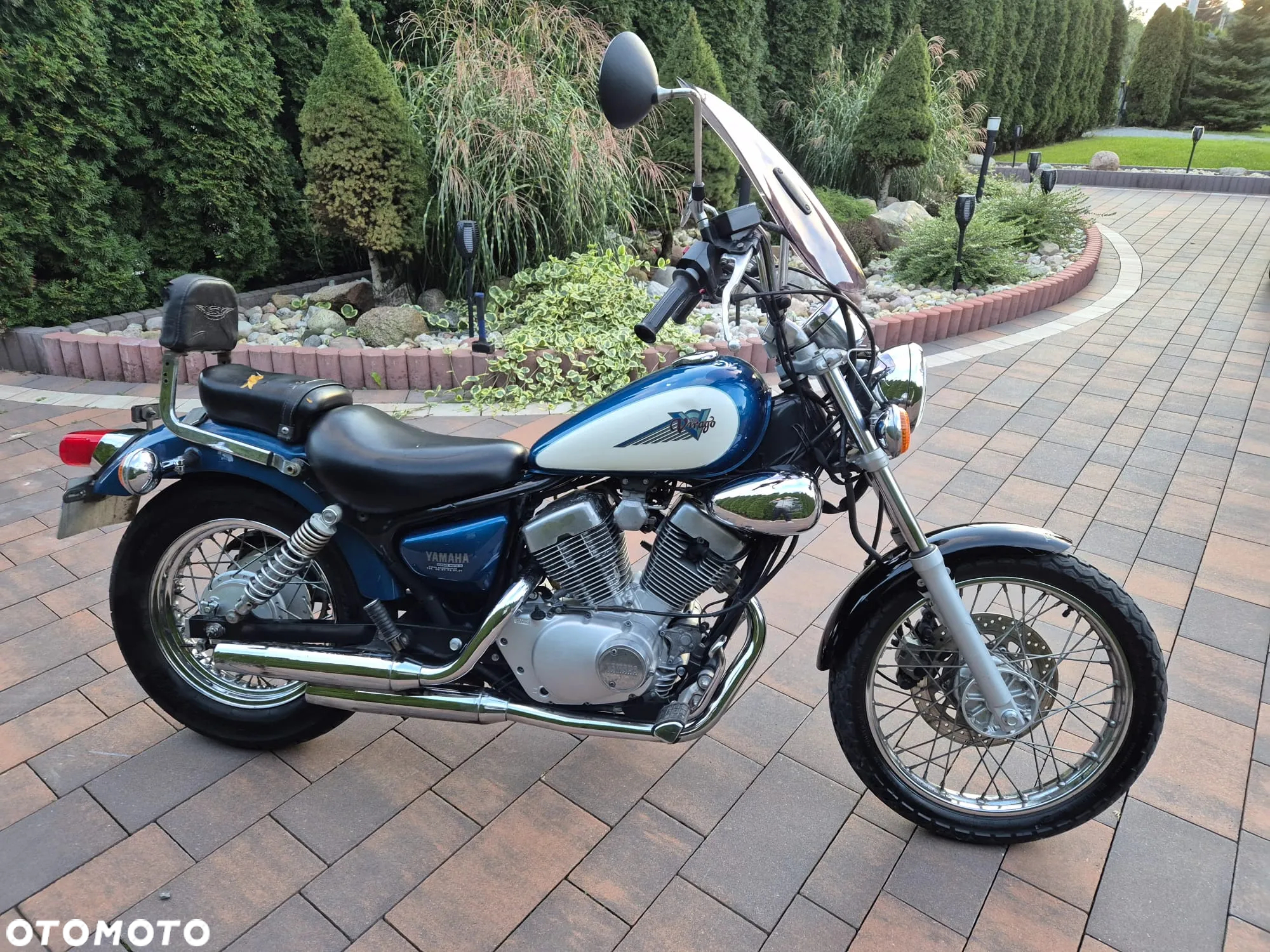 Yamaha Virago - 5