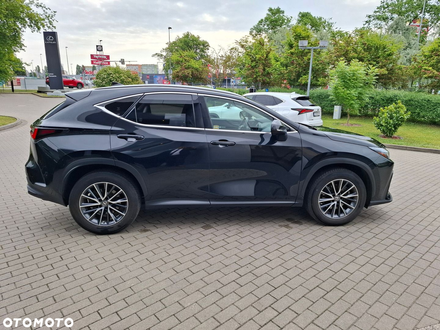 Lexus NX - 6