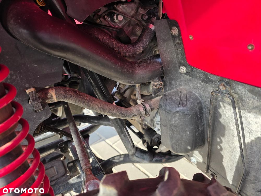 Kawasaki Brute Force - 10