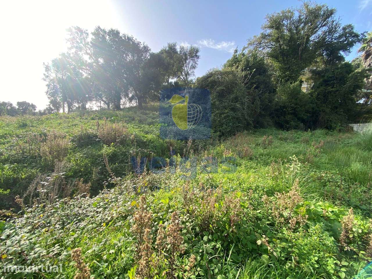 Terreno Urbano para Construção em Salir de Matos – O Local Ideal para - Grande imagem: 3/15