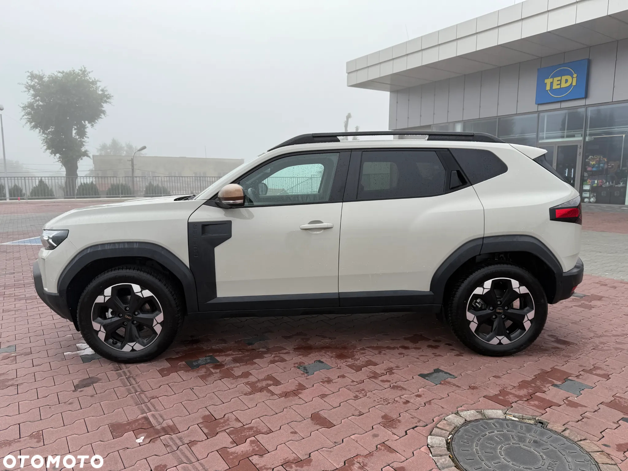 Dacia Duster - 2