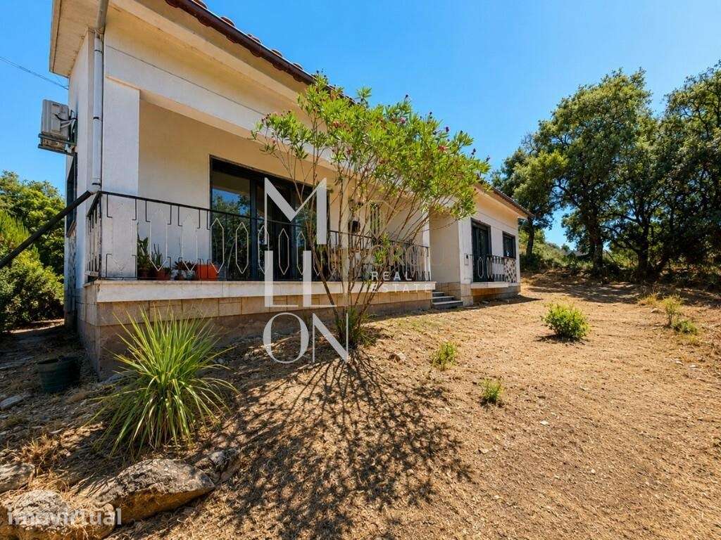 Moradia Isolada T3 com Terreno de 4500m2 – Reguengo do Fetal, Batal - Grande imagem: 3/7