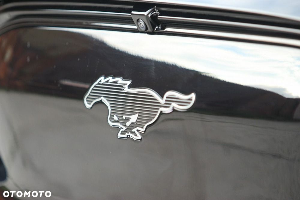 Ford Mustang Mach-E - 8