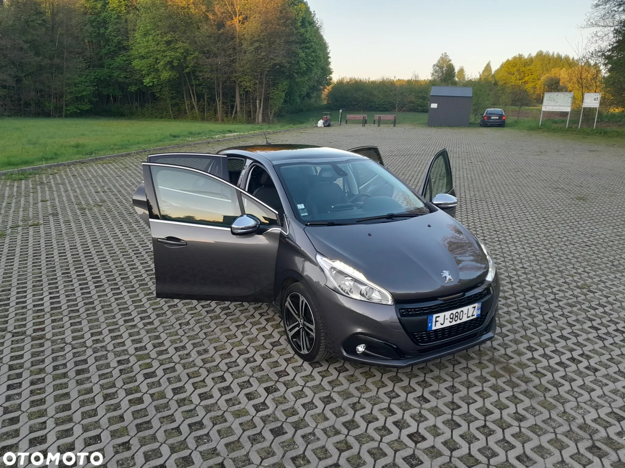 Peugeot 208 - 25