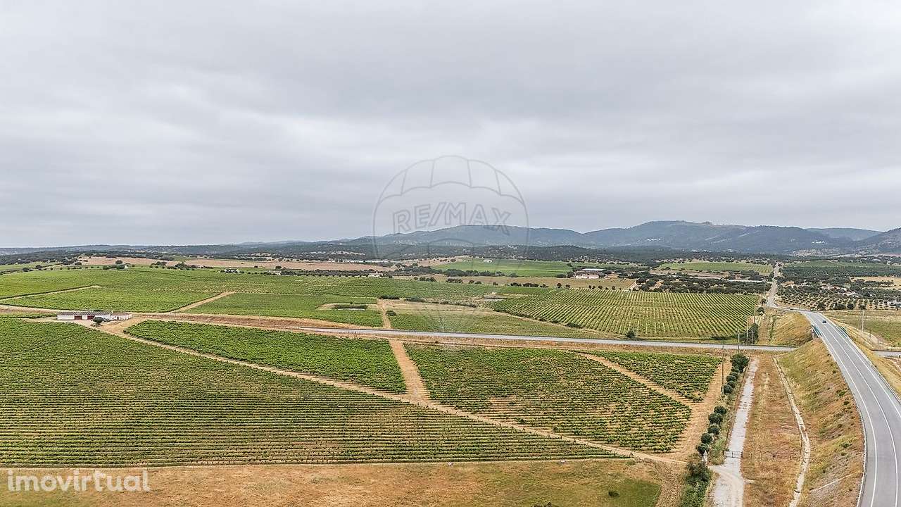 Herdade  para venda - Grande imagem: 2/12