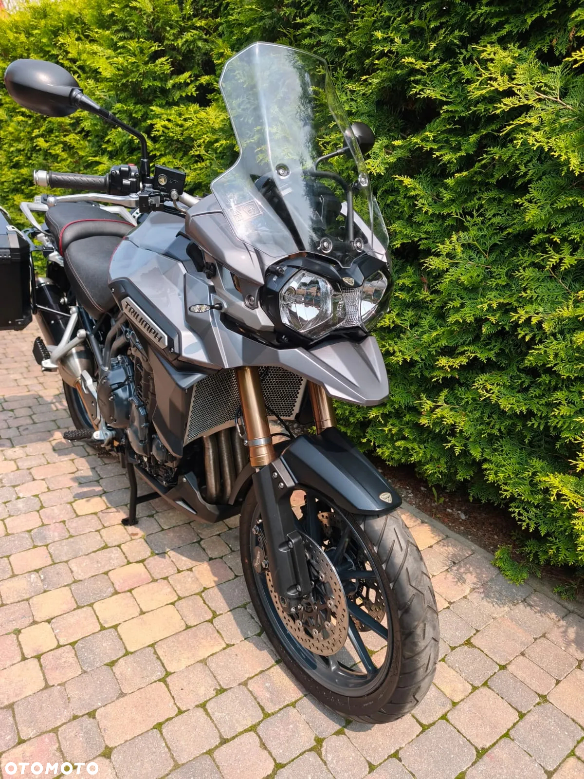 Triumph Tiger - 7