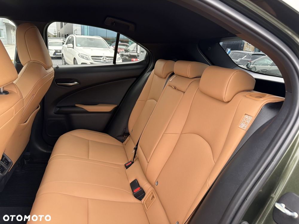 Lexus UX 250h GPF F Sport Design 2WD - 14