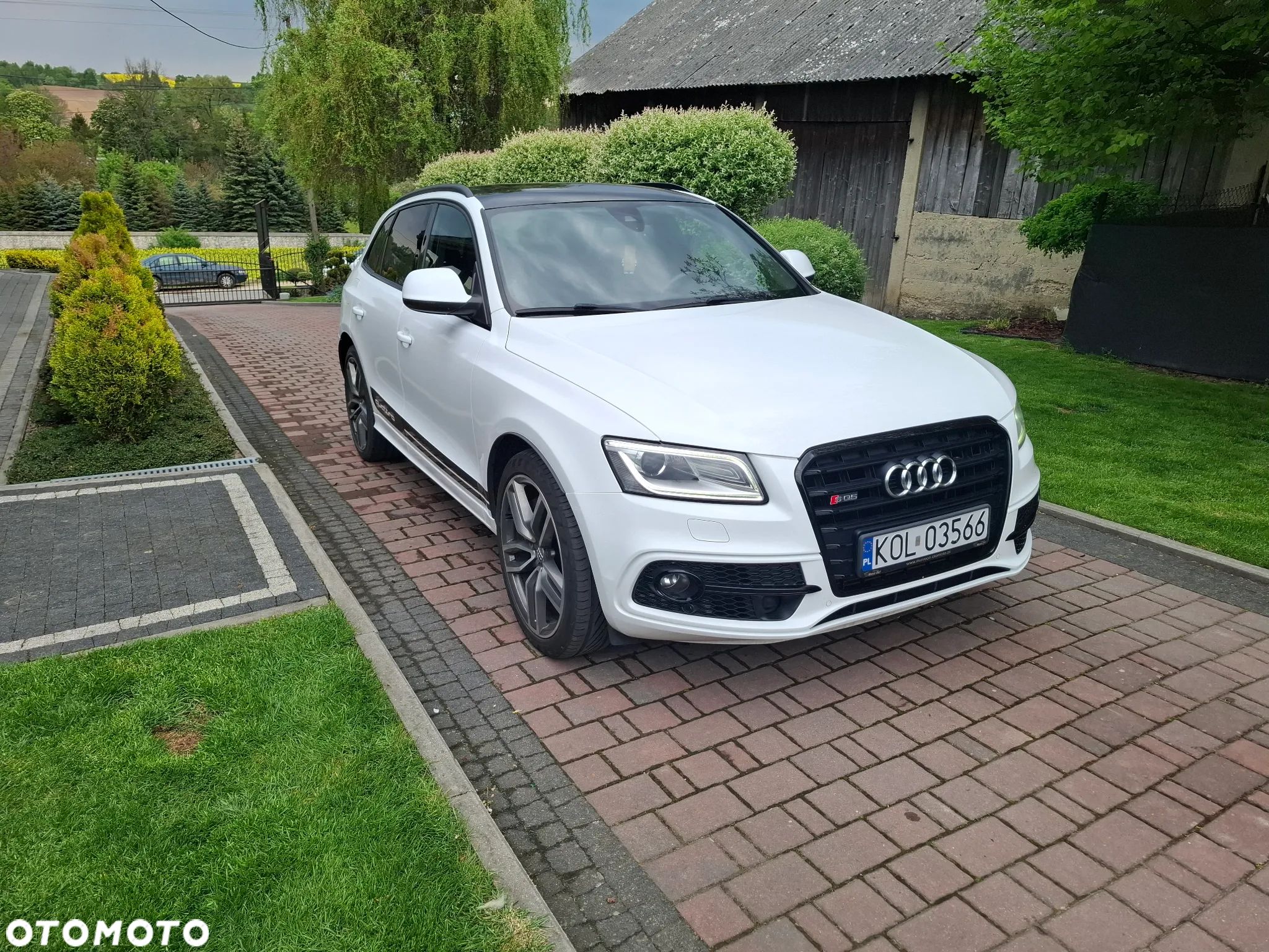 Audi SQ5 3.0 TDI Quattro Tiptronic EU6 - 1
