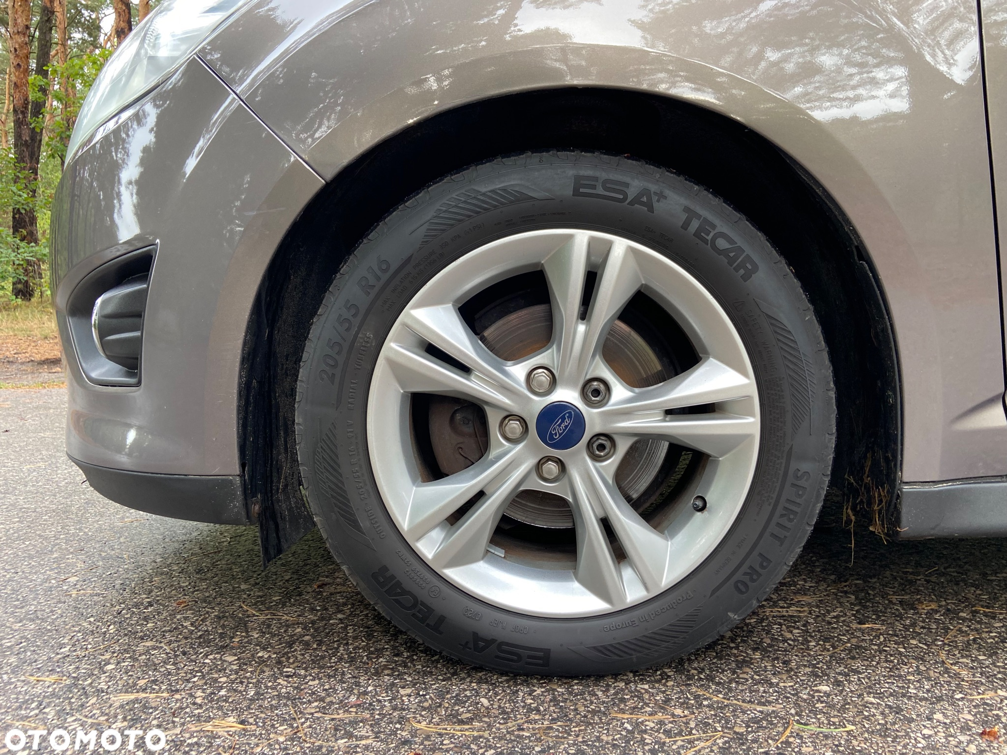 Ford C-MAX 1.6 TDCi Start-Stop-System Champions Edition - 16