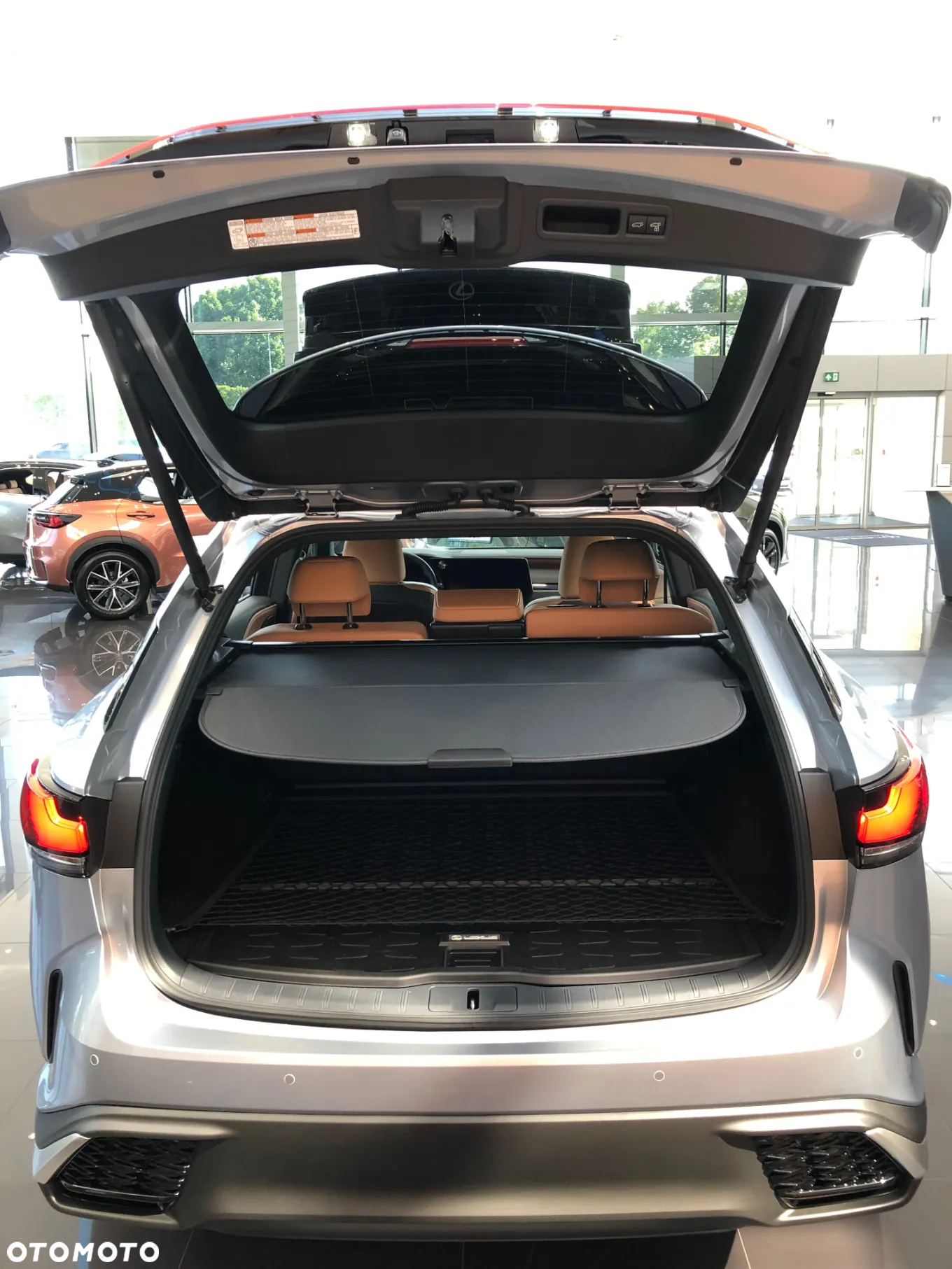 Lexus RX 350h F Sport Design - 11