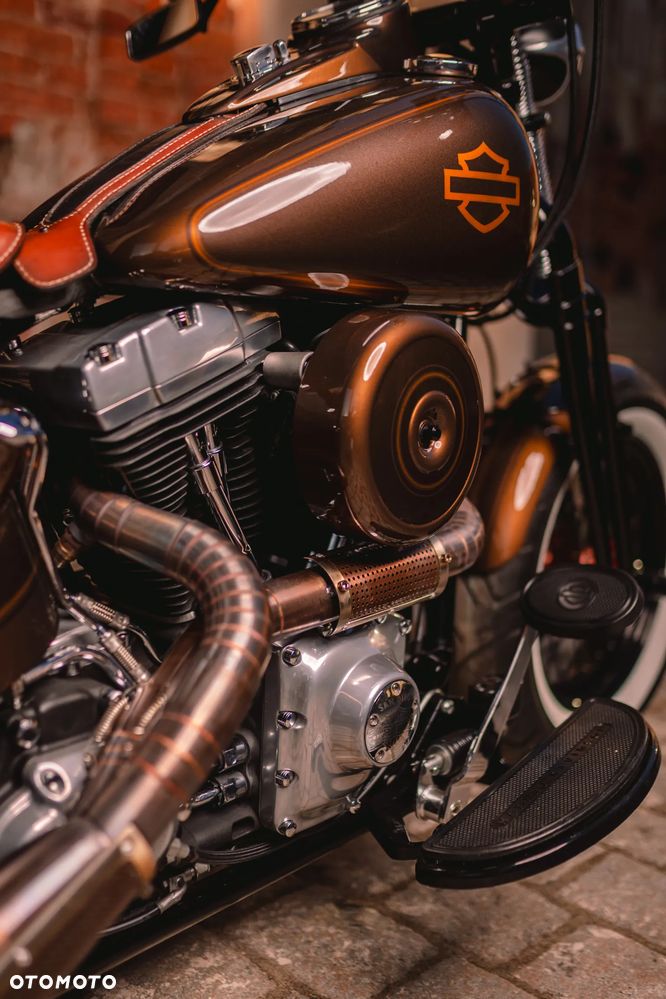 Harley-Davidson Softail Cross Bones - 21