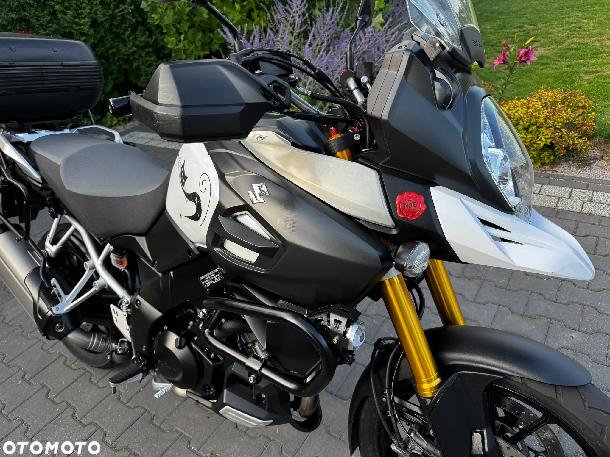 Suzuki V-STROM - 12